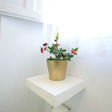 Cool In Center Apartment